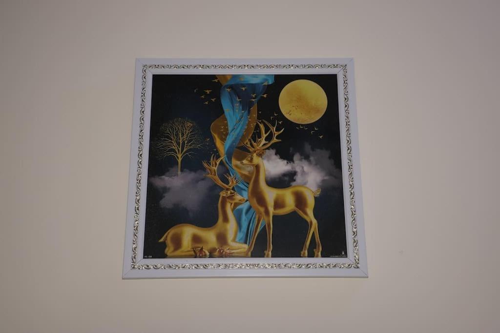 Divine India Service 1bhk,l-36b,saket Appartement New Delhi