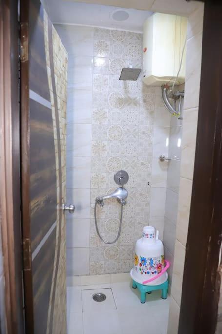 Appartement Divine India Service 1bhk,l-36b,saket New Delhi